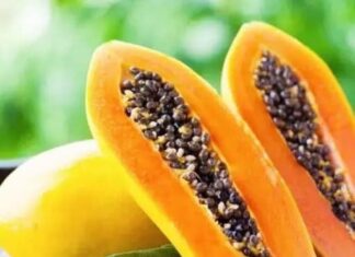 5 Superfoods to Heal Your Stomach Lining: Eat More, Worry Less About Ulcers