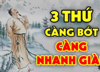The Three Things That Bring Poverty: What Are They and How Do They Affect Your Wealth?