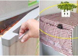 The Magic Trifecta for a Prosperous Home: Unveiling the Secret to Success Beyond the Kitchen