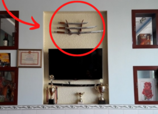 3 Things You Should Never Hang in Your Living Room
4 Items That Don’t Belong in Your Kitchen: A Recipe for Chaos