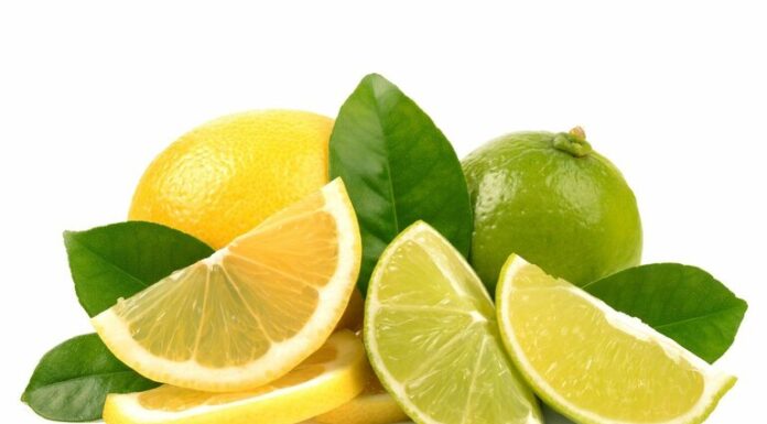 The 3 Natural Beauty Boosters You Need to Grow in Your Garden Right Now