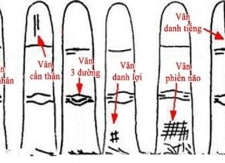 The Ring Finger: 5 Signs That Predict Wealth and Success