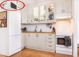 Is Your Business Failing and Finances in Turmoil? Check Your Fridge for These 3 Feng Shui No-Nos.