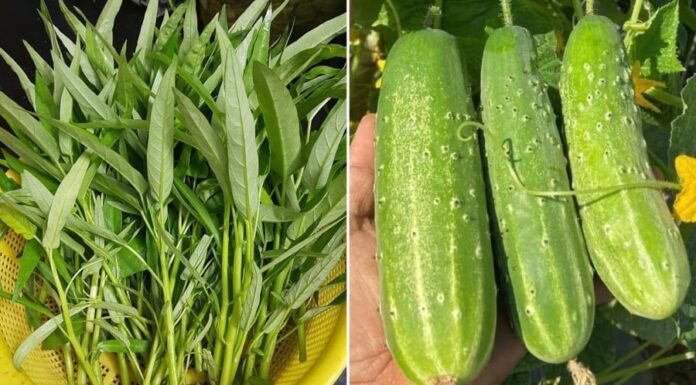 5 Vegetables and Fruits That Are Most Likely to Be Chemical-Laden, and 4 Safer Alternatives