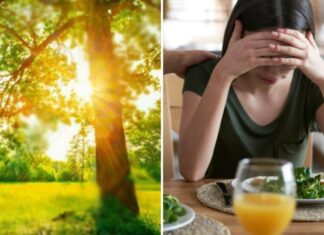 5 Summer Dishes to Beat the Heat and Boost Your Appetite