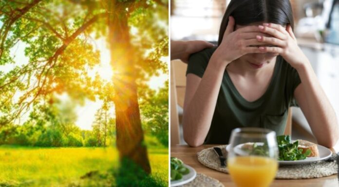 5 Summer Dishes to Beat the Heat and Boost Your Appetite