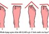 The Fortune Teller’s Foot Reading: Unveiling Wealth and Destiny Through Toe Length