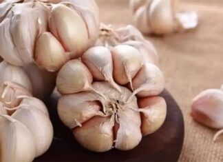 Cancer Cells Hate These 4 Foods! Eat Them Daily and Keep Cancer at Bay.