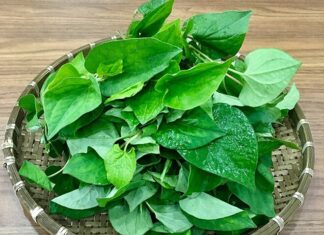 “Weed the Japanese Call a ‘Detox Vegetable’: Packed with Vitamins and Summer Nutrition, Especially for Expecting Mothers.”