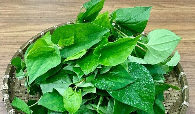 “Weed the Japanese Call a ‘Detox Vegetable’: Packed with Vitamins and Summer Nutrition, Especially for Expecting Mothers.”