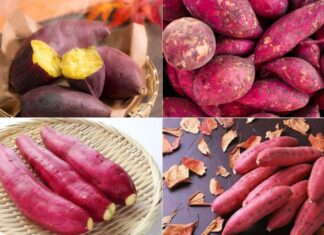 Is Sweet Potato Good for You? Uncover the Surprising Health Benefits.