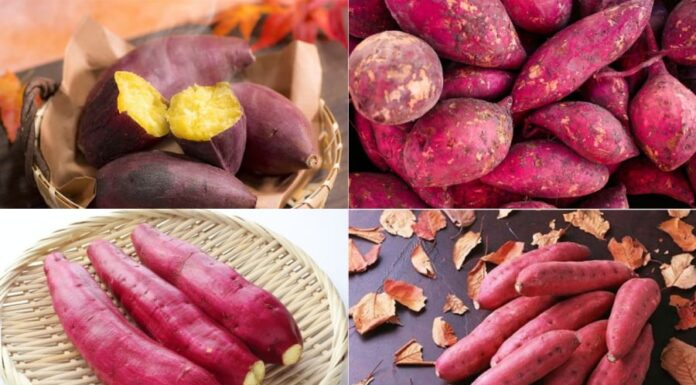 Is Sweet Potato Good for You? Uncover the Surprising Health Benefits.