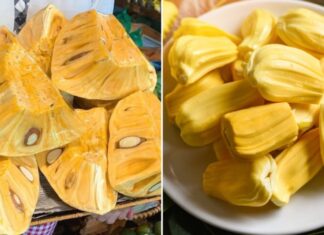 “Mouth-Watering Jackfruit: A Tasty Treat, But A Big No-No For These 5 Health Conditions”