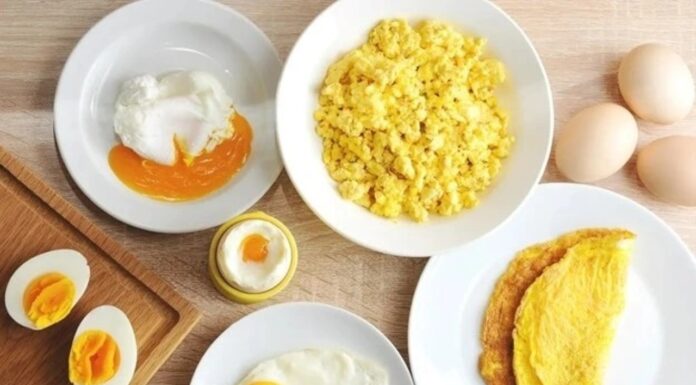 “The Power of Eggs: Unlocking Better Health and Memory with a Balanced Diet”