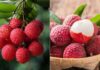 “Cooling Tips for a Refreshing Lychee Experience”