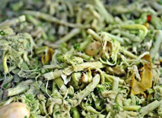 The Mystical Mountain Vegetable: A Tasty Treat Unique to Lai Chau