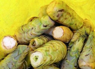 The Unlikely Delicacy: A Tasty Treat from the Heart of the Mekong Delta