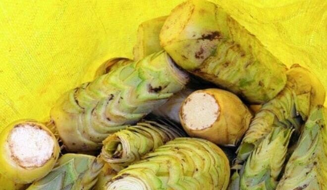 The Unlikely Delicacy: A Tasty Treat from the Heart of the Mekong Delta