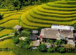 The Serene Retreat: A Gentle Beginning to Your Journey of Healing and Escape from the Hustle and Bustle