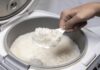 The Ultimate Guide to Keeping Rice Fresh: A Simple Storage Solution