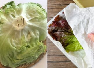Keep Lettuce Fresh for a Week with This Storage Hack