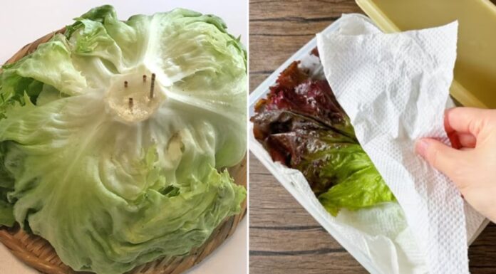 Keep Lettuce Fresh for a Week with This Storage Hack