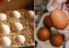 Preserving Eggs Without a Fridge: Keep Them Fresh for a Month with This Easy Method