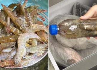 3 Tips to Keep Shrimp Fresh and Juicy for a Year or More