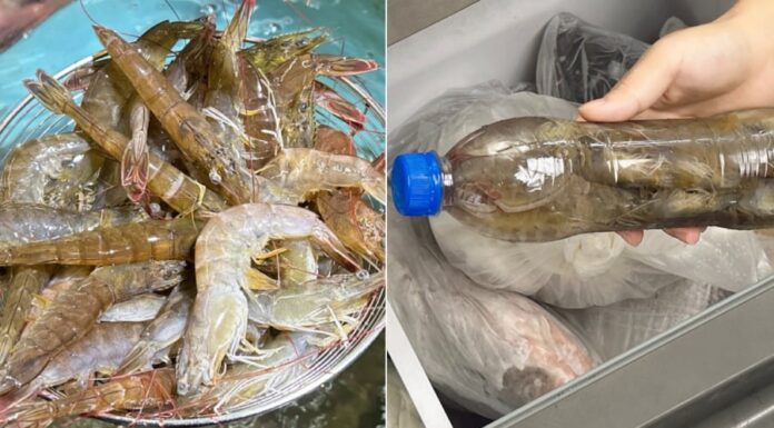 3 Tips to Keep Shrimp Fresh and Juicy for a Year or More