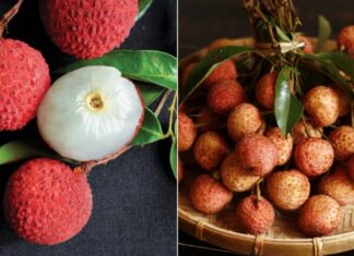 The Perfect Way to Store Peaches: Keep Them Fresh and Crisp All Year Round