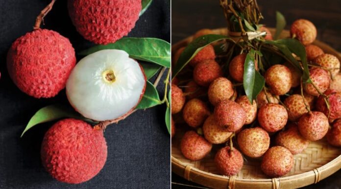 The Perfect Way to Store Peaches: Keep Them Fresh and Crisp All Year Round