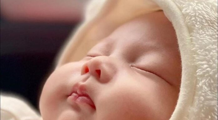 Wealthy Months to Give Birth in the Year of the Horse 2026: Healthy and Intelligent Children, Fortunate Parents