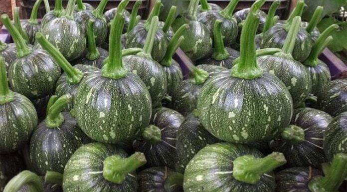 “The Unassuming Superfood: This Inexpensive Green Vegetable Packs a Punch with 10 Times More Folic Acid Than an Apple”