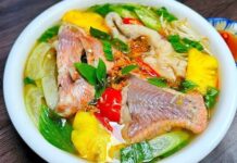 “The Great Fish Broth Debate: To Boil or Not to Boil?”