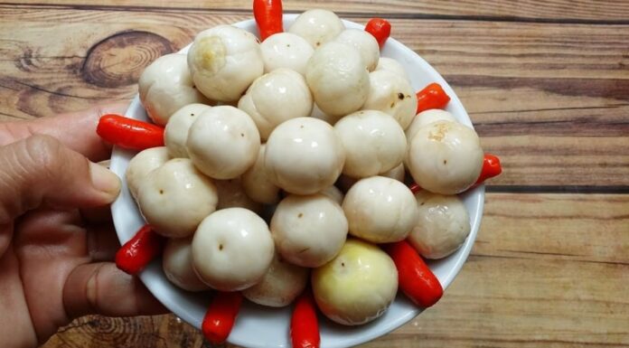 “Those Who Should Avoid Pickled Eggplants”