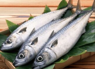 The Ultimate Fish: A Delicious and Nutritious Alternative to Salmon, at Half the Price.