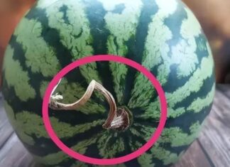 The Ultimate Guide to Watermelon Storage: Keep Your Leftovers Fresh and Flavorful All Week Long