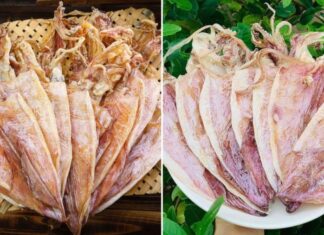 “Buying Wide-Ranging Ink: A Simple Guide to Getting the Best Quality and Avoiding Counterfeits”