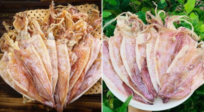 “Buying Wide-Ranging Ink: A Simple Guide to Getting the Best Quality and Avoiding Counterfeits”