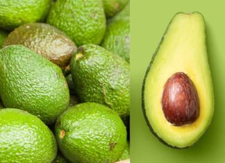 The Perfect Avocado: A Quick-Ripening Guide