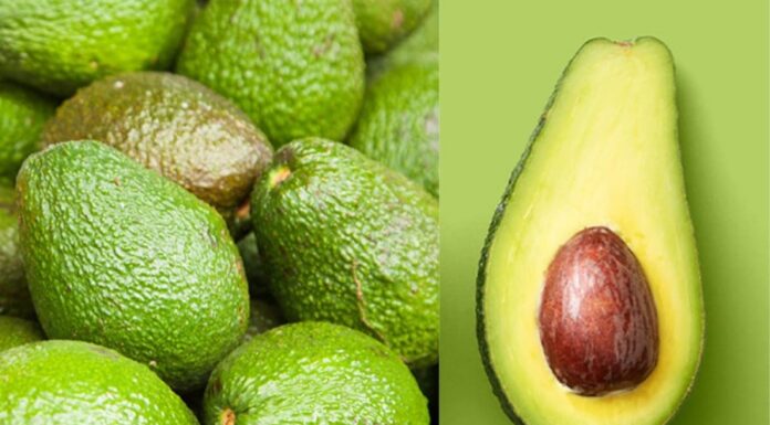 The Perfect Avocado: A Quick-Ripening Guide