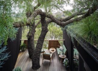 The Depleting Yang and the Thriving Yin: When the Five Yin Trees in Front of Your House Thrive, Your Fortune Fades