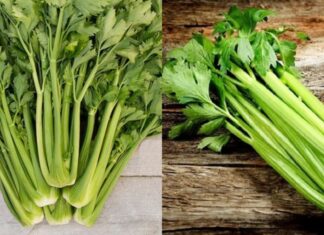 “Superfoods for Women Over 40: Nourish Your Hormones with Pesticide-Free Veggies”