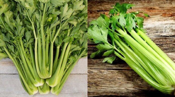 “Superfoods for Women Over 40: Nourish Your Hormones with Pesticide-Free Veggies”