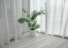 The Magic of Greenery: Inviting Abundance and Prosperity with Strategic Indoor Plant Placement