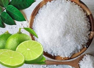 “The Surprising Powers of Salted Lemon: Repel Evil Spirits, Attract Fortune, and Boost Your Health”