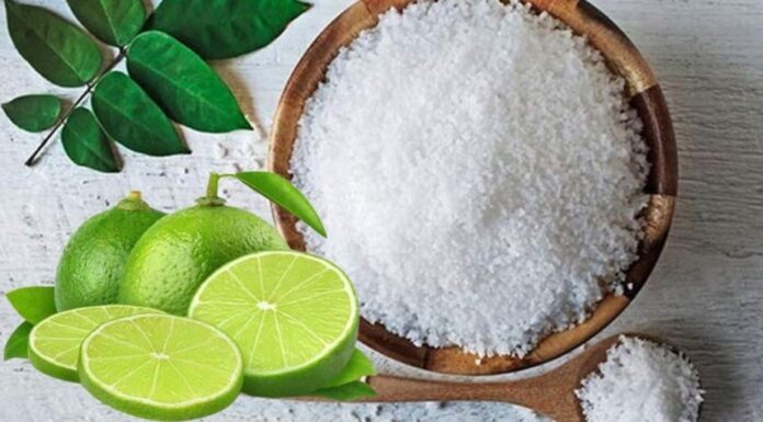 “The Surprising Powers of Salted Lemon: Repel Evil Spirits, Attract Fortune, and Boost Your Health”