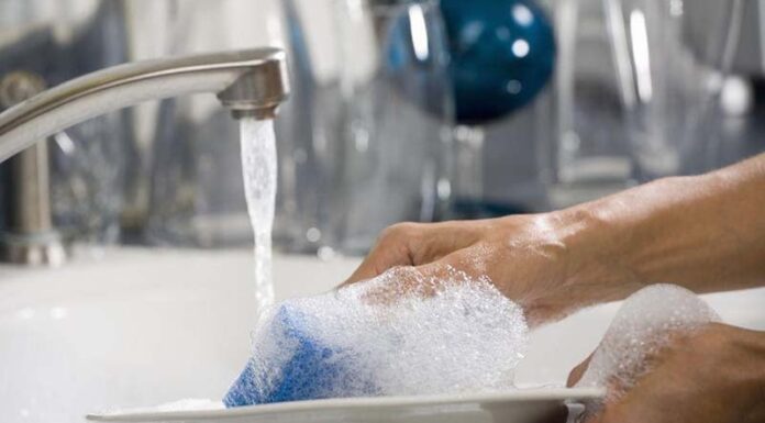 The Ultimate Guide to Kitchen Hygiene: 5 Germ-Infested Hotspots You May Be Neglecting