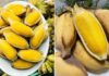 6 Amazing Benefits of Eating a Boiled Banana Every Day