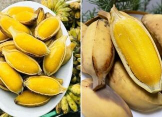 6 Amazing Benefits of Eating a Boiled Banana Every Day